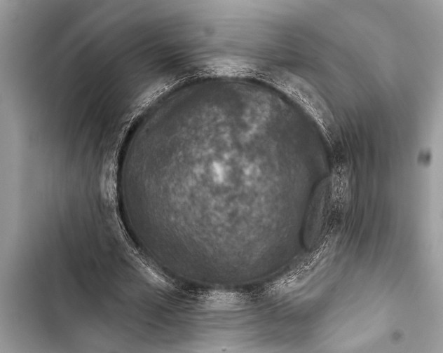 X0000103440581200810031415