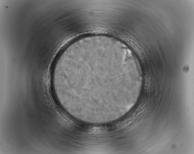 X0000103440584200810031415