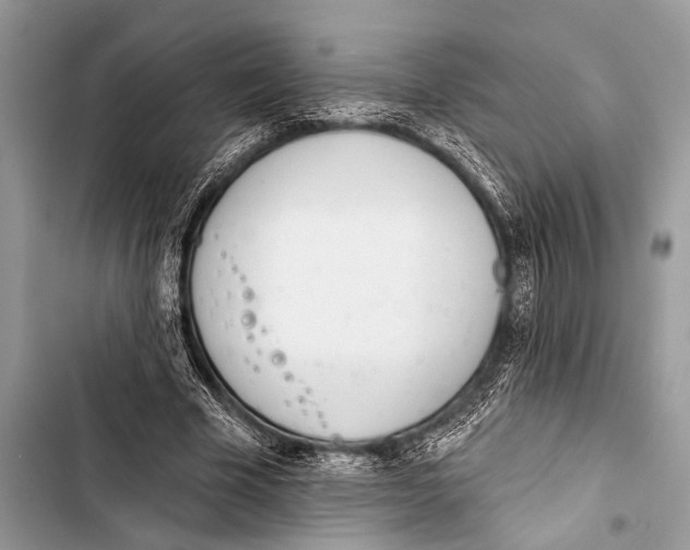 X0000103440585200810031415