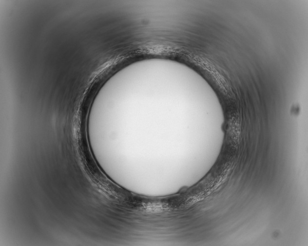 X0000103440587200810031415