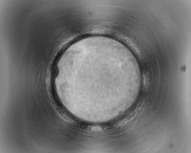X0000103440588200810031415