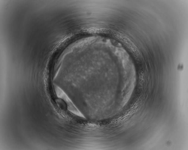 X0000103440592200810031415