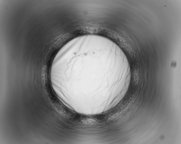 X0000103440594200810031415