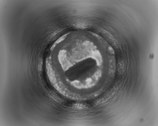 X0000103440596200810031415