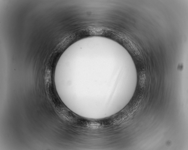 X0000103440598200810031415