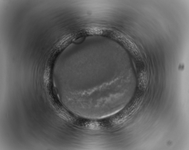 X0000103440600200810031415
