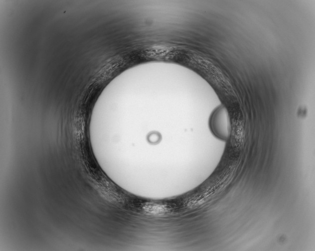 X0000103440602200810031415