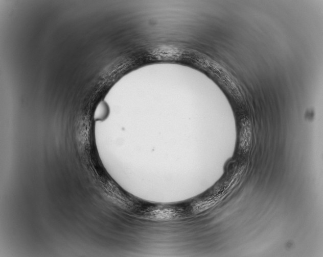 X0000103440604200810031415
