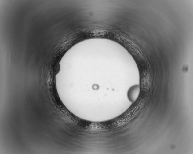 X0000103440608200810031415