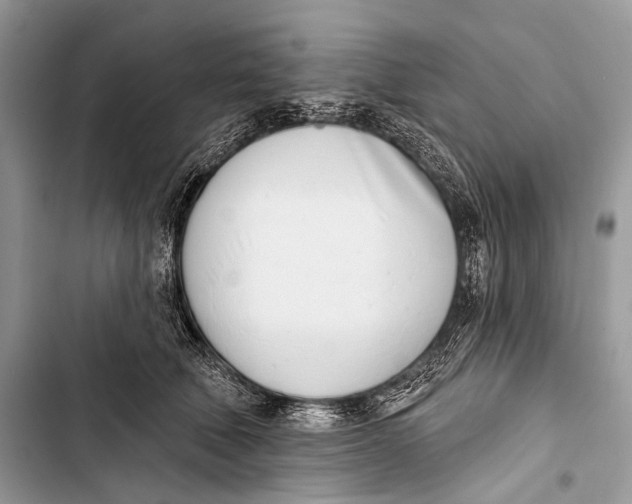 X0000103440610200810031414