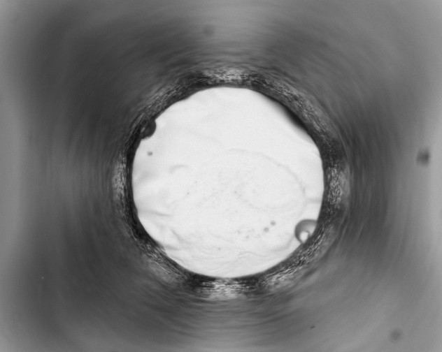 X0000103440612200810031414