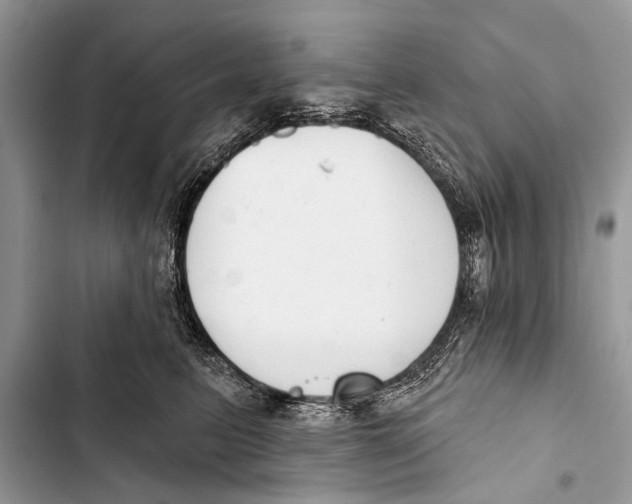 X0000103440615200810031414