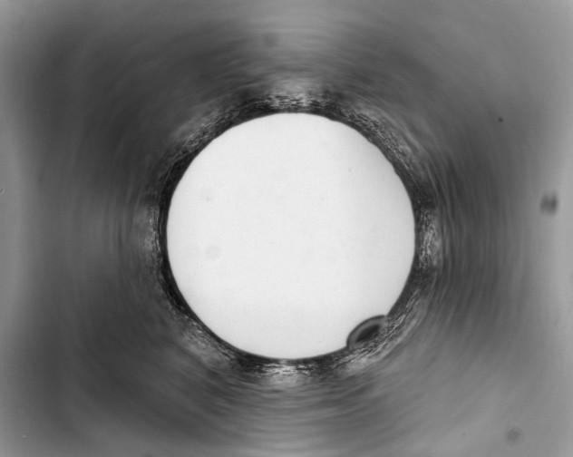 X0000103440616200810031414