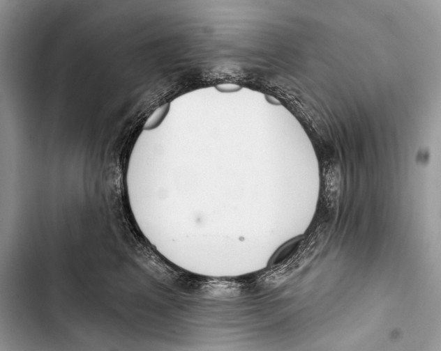 X0000103440617200810031414