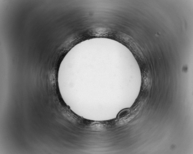 X0000103440620200810031414