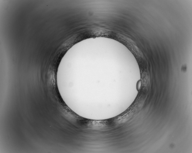 X0000103440622200810031414