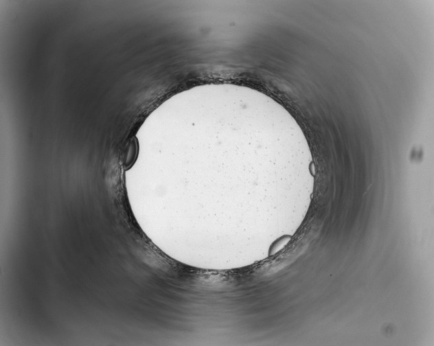 X0000103440624200810031414