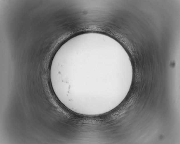 X0000103440625200810031414