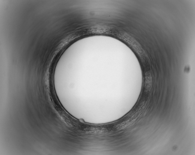 X0000103440626200810031414