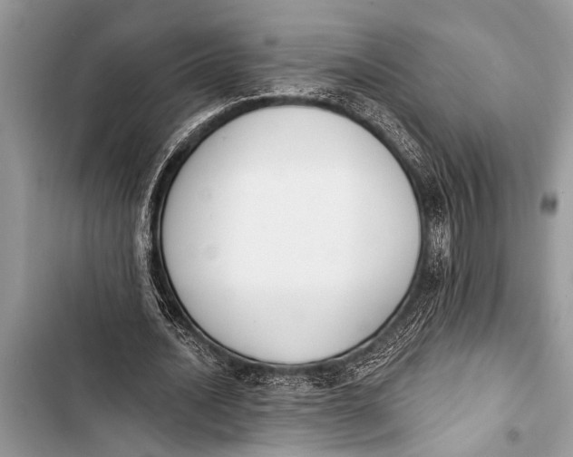 X0000103440628200810031414