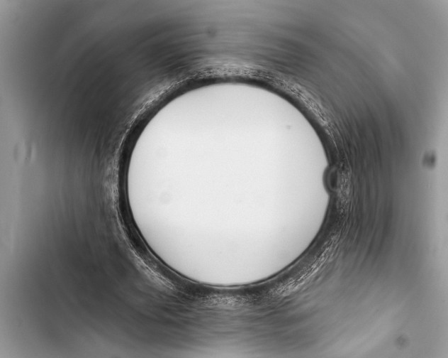 X0000103440629200810031414