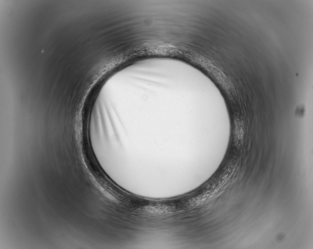 X0000103440630200810031414