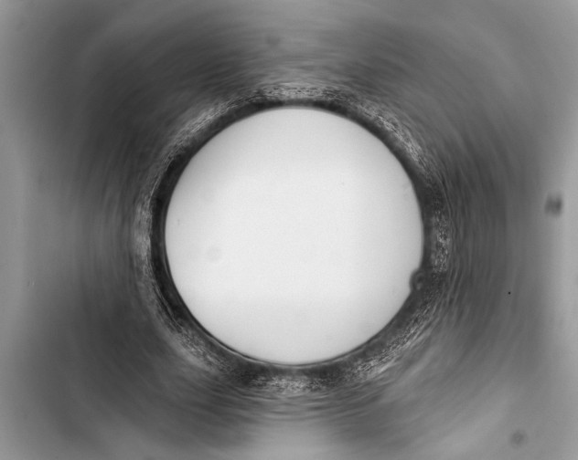 X0000103440631200810031414