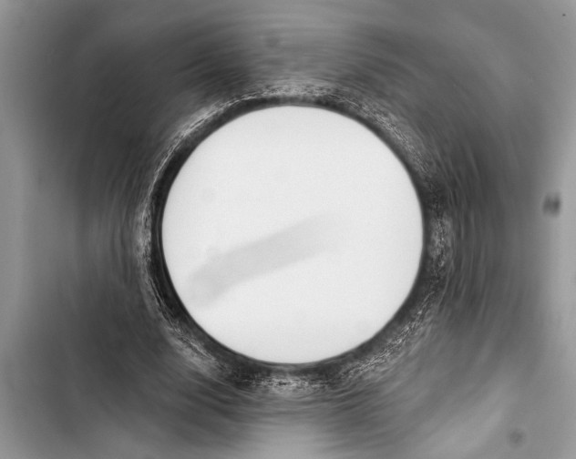 X0000103440632200810031414