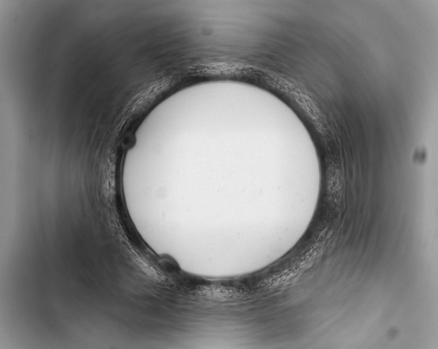 X0000103440633200810031414