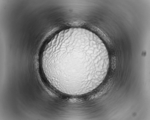 X0000103440634200810031414