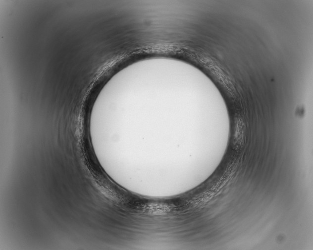 X0000103440636200810031414
