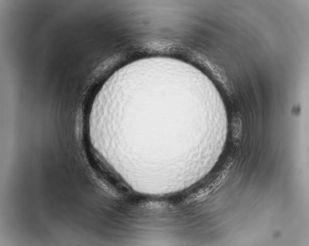 X0000103440637200810031414
