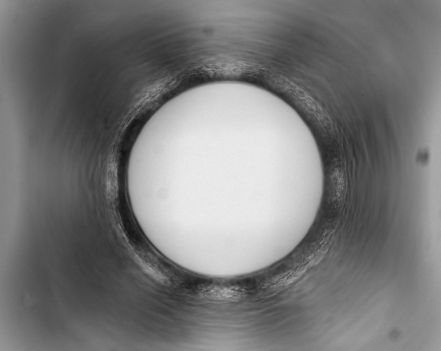 X0000103440638200810031414
