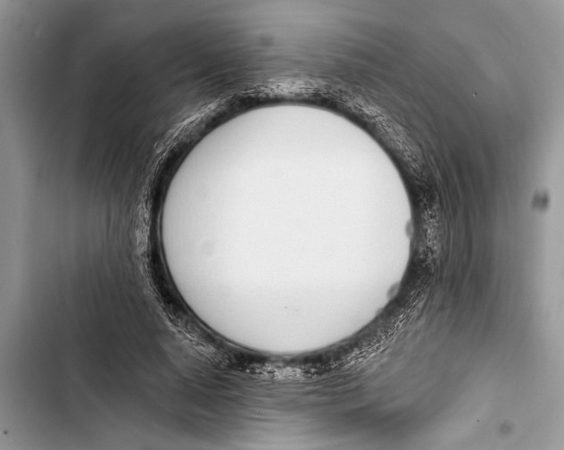 X0000103440640200810031414
