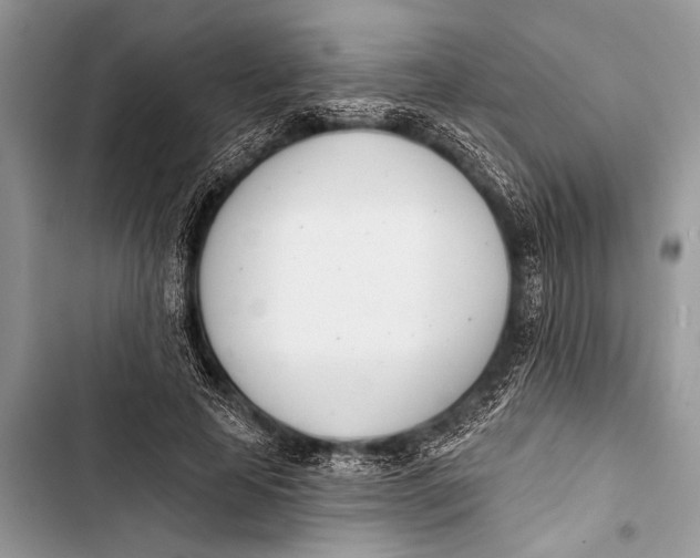 X0000103440641200810031414
