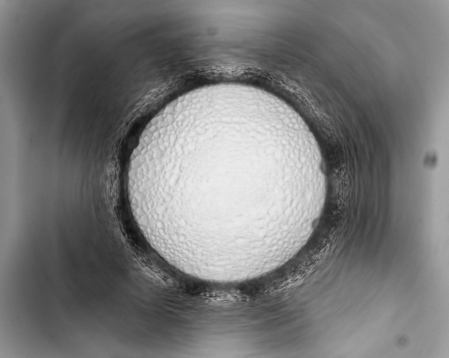 X0000103440642200810031414