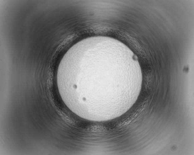 X0000103440644200810031414