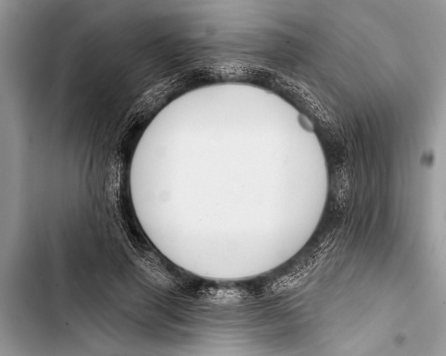 X0000103440645200810031414