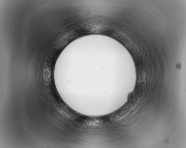 X0000103440646200810031414