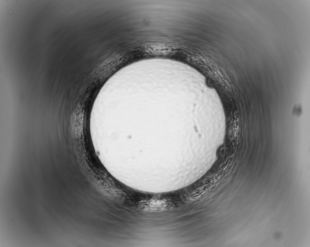 X0000103440647200810031414