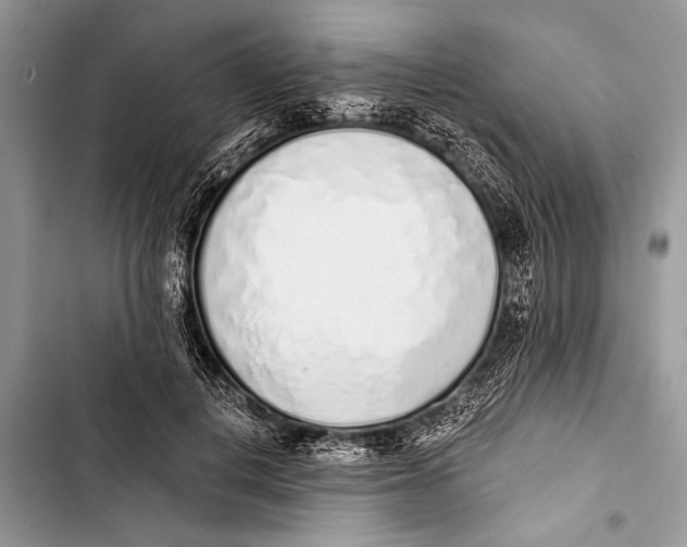 X0000103440648200810031414