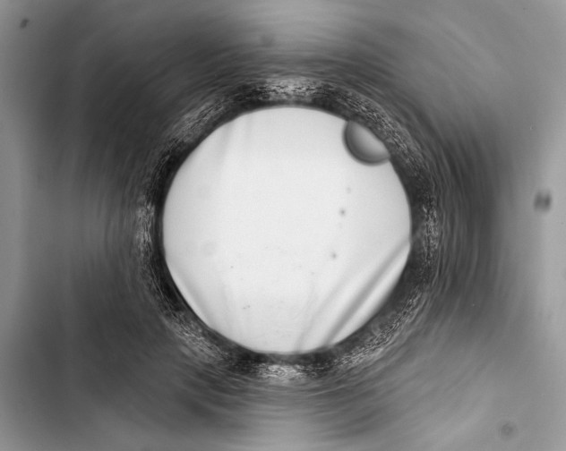 X0000103440649200810031414