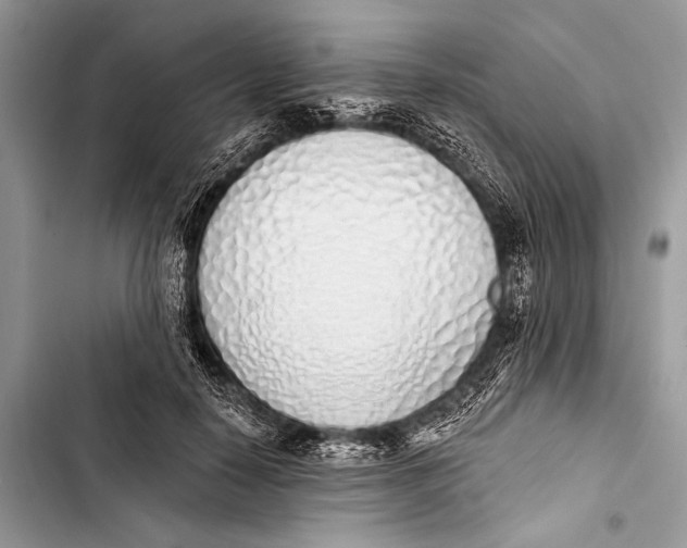 X0000103440650200810031414