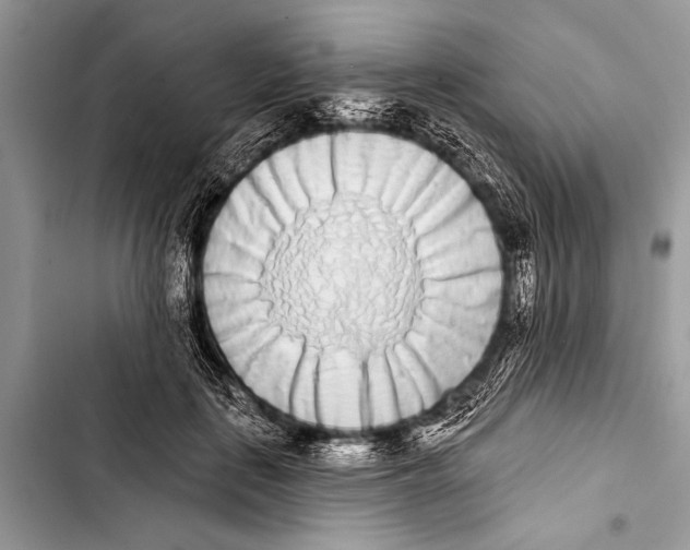 X0000103440651200810031414