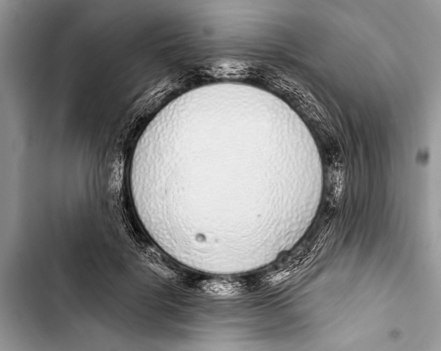 X0000103440652200810031414