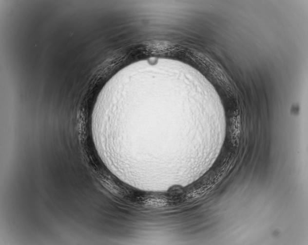 X0000103440653200810031414