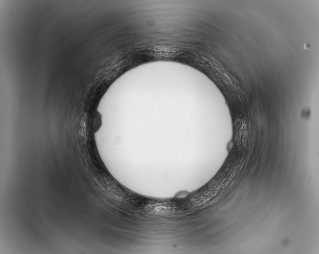 X0000103440655200810031414