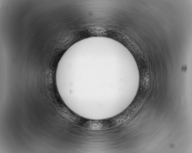 X0000103440658200810031414