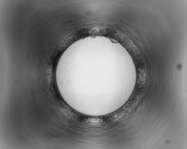 X0000103440659200810031414