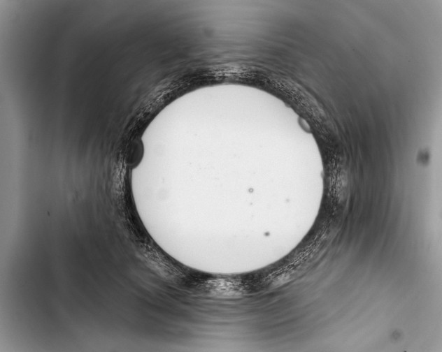 X0000103440660200810031414